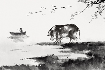 2022年属猪破太岁佩戴什么 整体运势如何