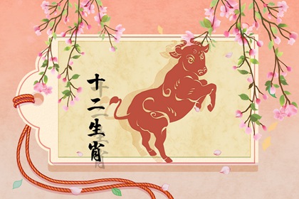 2022年属牛人适合做什么生意 理财忠告