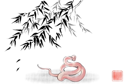 1965年生肖蛇2022年运程 事业上被小人暗算