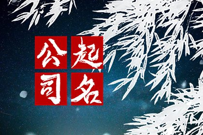带金字的名字公司名字大全响亮大气的
