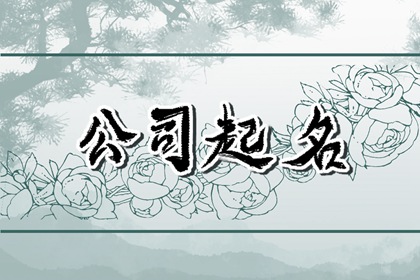 有创意的太阳能灯公司名 公司好名字解析