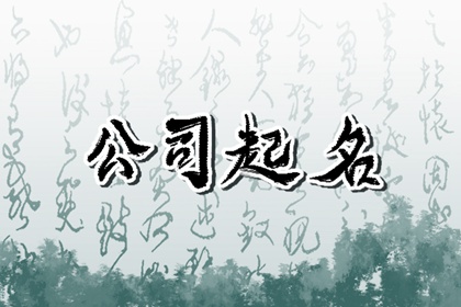 简单大气的软件公司名 怎么起名字好