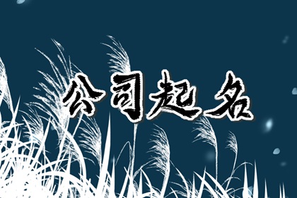 查找二个字公司名称 聚财好记的公司名字