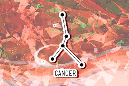 狮子座爱上谁最难放弃 情投意合互相欣赏