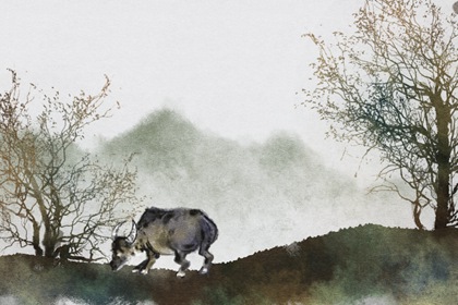 属牛人命中注定的另一半是谁 生肖牛的性格