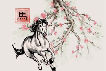 两人都属马结婚好吗 都属马结婚的后果