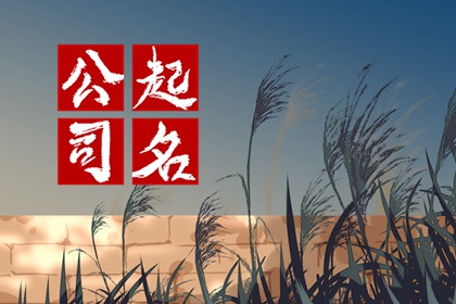 什么样的三字公司名字好 有美好的寓意三字名字