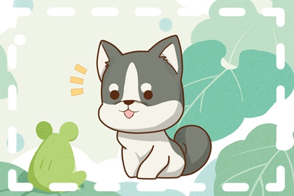 生肖狗适合佩戴什么饰品 旺财运的吉祥物