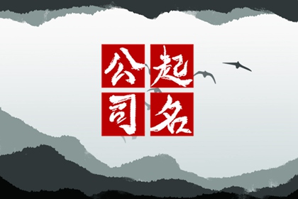代表财运旺盛公司名称二个字?怎么给公司起名字