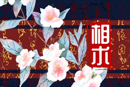 两眼间距宽的人很笨吗 说明什么