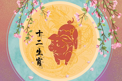 属猪男孩出生的最佳时辰 事事顺利 家庭幸福