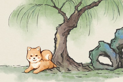 70年属狗终身幸运颜色是什么 红色趋吉避凶