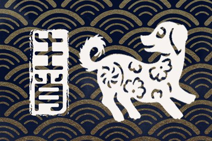 1994年属狗招财数字是多少  带来好运 生活轻松