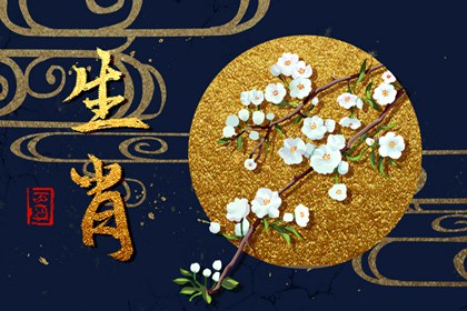 属龙男娶得最多的生肖女 和谁结婚最幸福