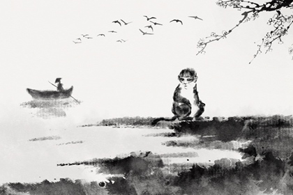 生肖猴是哪年出生的?属猴哪天出生最好