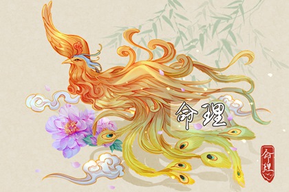 2022年12月9日出生的孩子好不好 命运怎么样