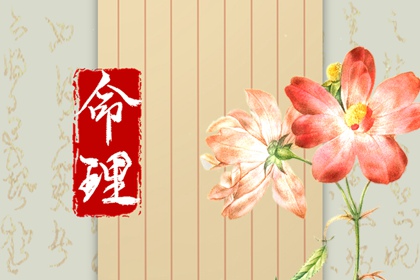 2022年12月28日出生是什么命 宝宝命运解析