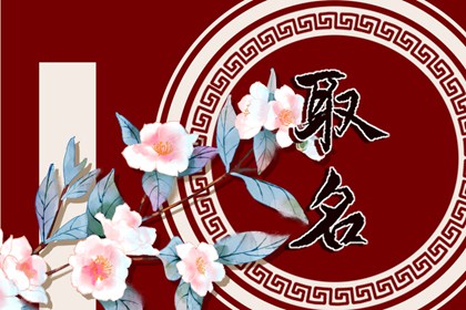 属虎的新生儿取名什么好 最佳满分虎宝宝名字