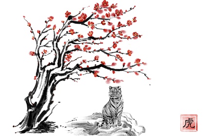 2023年虎女有桃花运吗 会遇见心仪的对象吗