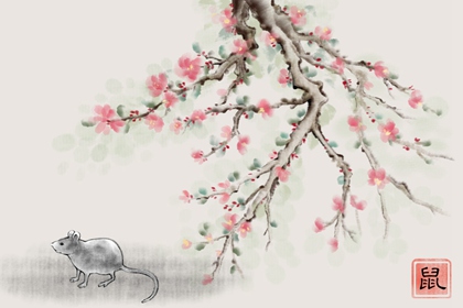 96年属鼠在2023年结婚好不好 感情运势如何