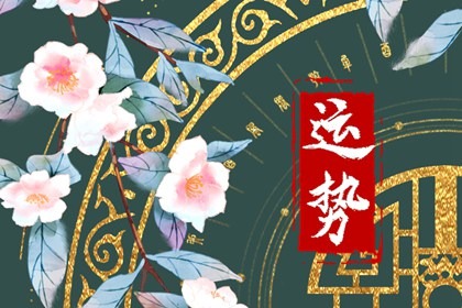 2022年11月8日十二星座运势分析
