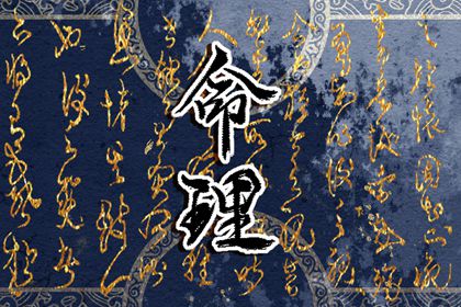 2023年出生的什么命 水兔人有什么特点