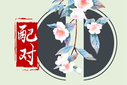 2023年是什么土命 属兔人的命运如何