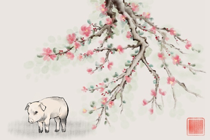 属猪2023年结婚吉日一览表 今年感情发展好吗