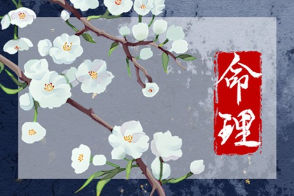属龙小年出生的人命好不好 小年不能过生日吗