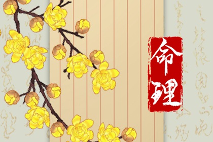 2023年元旦出生的宝宝属什么 元旦出生女孩子好吗