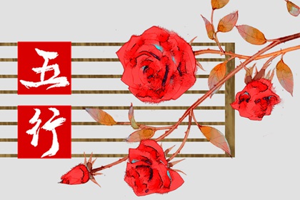 2023年金木水火土五行属什么 水兔的性格分析