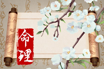 2023年兔宝宝几时出生最好命 兔宝宝命运怎么样