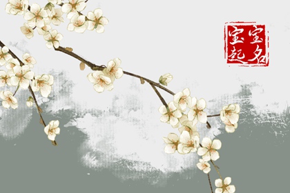 春节期间出生的女孩起名字叫什么