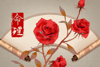 正月初三出生的女孩什么命2023 命运好不好