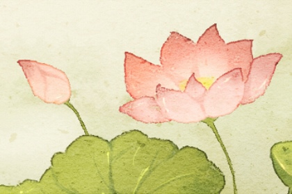 2月21号是什么节日 2023年2月21号是什么日子