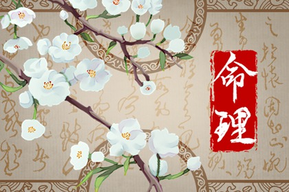2023兔年生男孩多还是女孩多 属兔最旺的月份