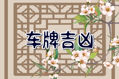 2023年属于什么年什么命 水兔命运如何