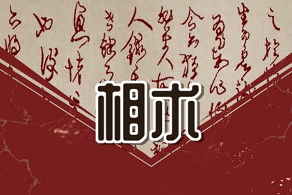 有官相的面相特征 下颌圆滑