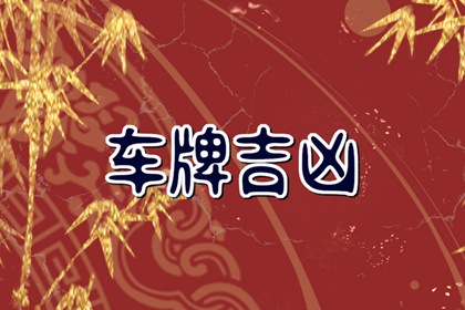 属蛇人最旺车牌号 哪个号码最吉祥