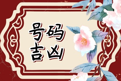 带财运的车牌号2023年 吉利号码牌盘点