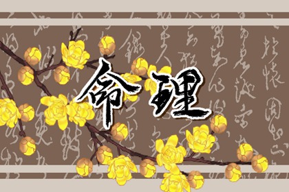 属鼠的什么时辰出生最好 鼠宝宝命运分析