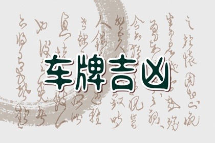 开纯数字车牌的人都说明了什么 有钱人吗