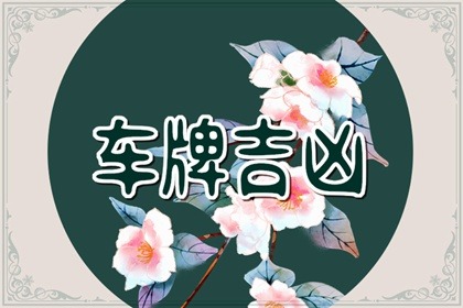 车牌号为什么不能带2 原因是什么