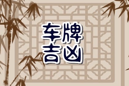 1980年属猴最旺的车牌号 属猴人幸运号码