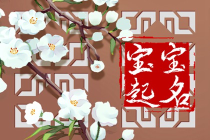与笙字搭配最佳的名字是 宝宝名字带笙