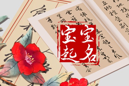 丽和什么字搭配好 丽字起什么名字好听