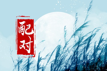夫妻搭配最好的生肖 12生肖最佳夫妻属相