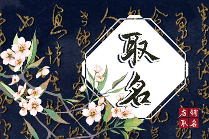取名2023年好名字大全 适合未出生的男女宝宝名字