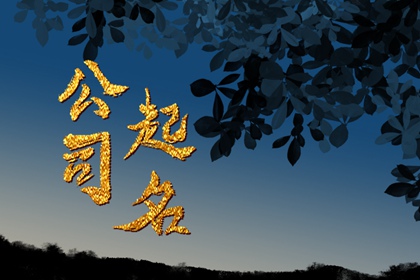 公司起名大全响亮大气 气势磅礴公司名称