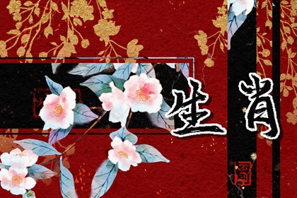 收男人魂的生肖女 充满魅力的女属相